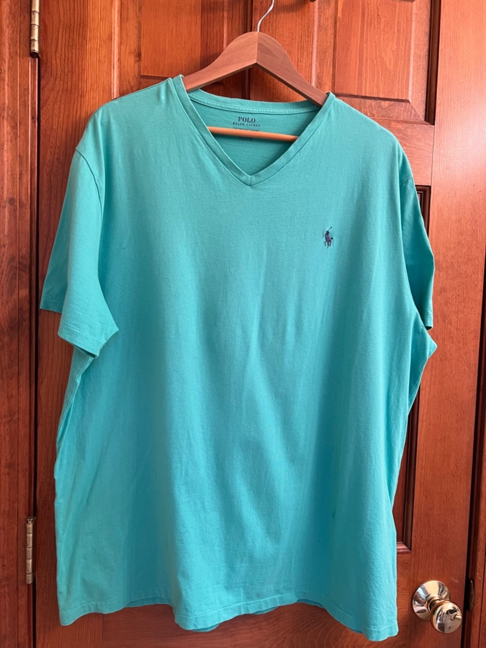 Polo by Ralph Lauren Men’s Size XXL V-Neck T-Shirt in Sea Green